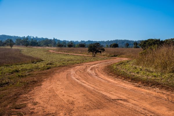 Dirt Driveway Repair in Sparks