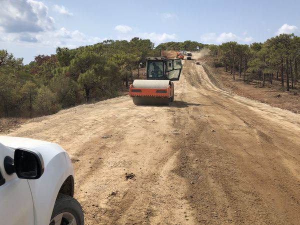 Cost of Driveway Grading in Sparks