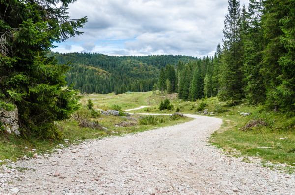 Cost of Gravel Road Grading in Sparks