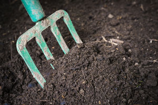Cost of Topsoil Spreading in Sparks