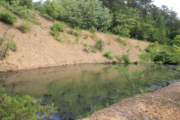 Pond Erosion Repair in Sparks