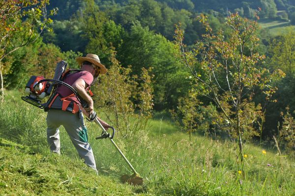 Cost of Slope Trimming in Sparks