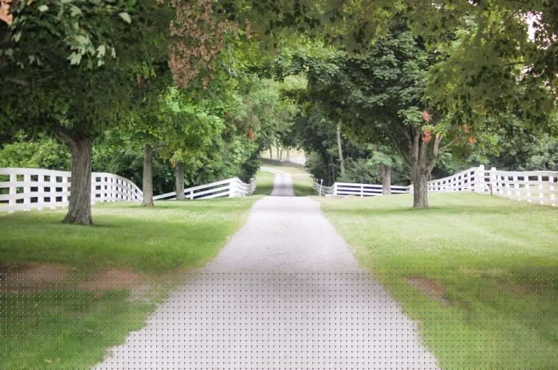 Driveway Gravel Grading